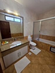 Shrewsbury Road (D11), Semi-Detached #566087571